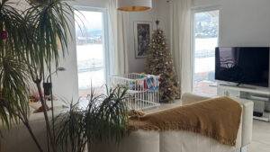 WZ Fensterfront