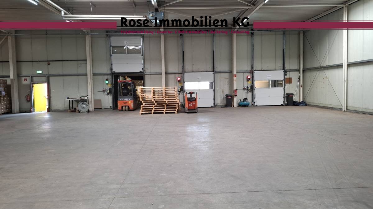 Halle 3