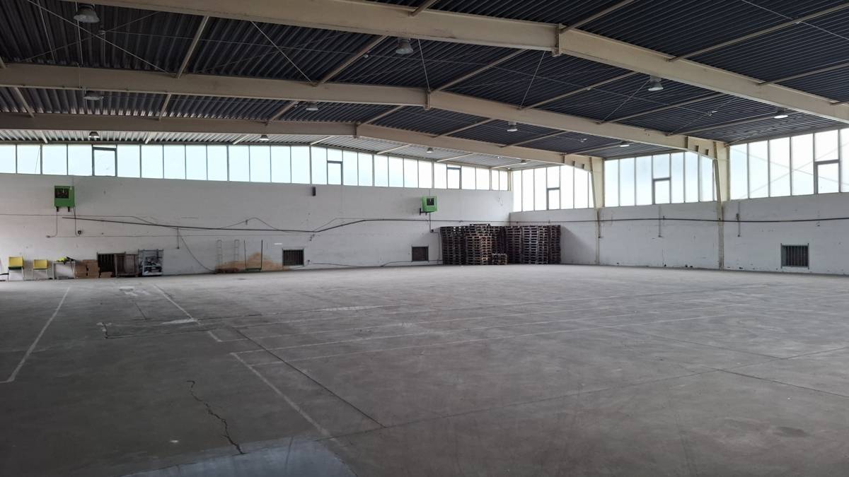 Halle 2