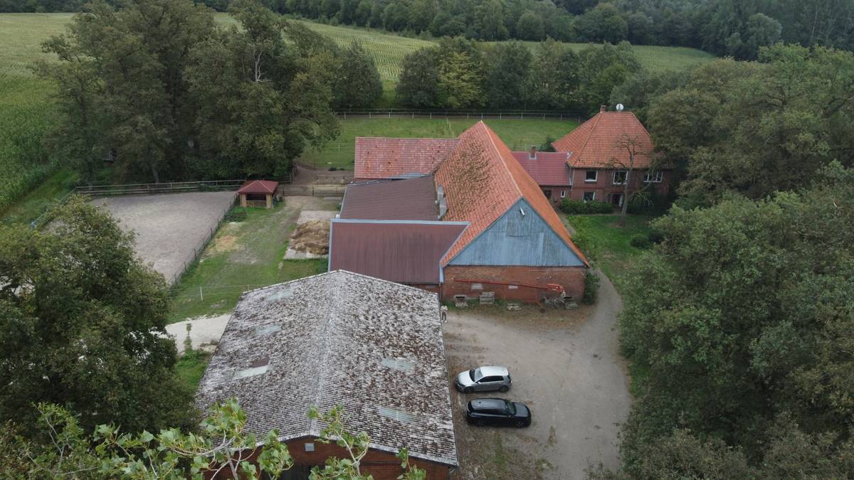 Übersicht